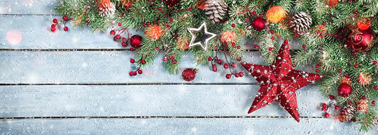 <b><font color="darkblue">*  *  *  *  * FH Weihnachtlicher Nachmittag *  *  *  *  *</b></font>