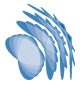 Workshop on "Non-equilibrium phenomena at short length scales and in low dimensions"