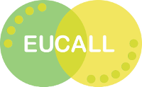 EUCALL Joint Foresight Topical Workshop: Theory and Simulation of Photon-Matter Interaction