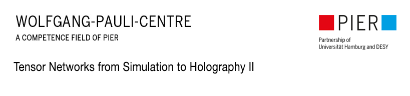 Tensor Networks from Simulation to Holography II