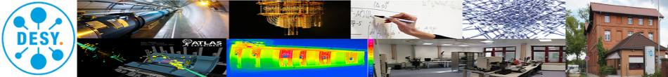 DESY Zeuthen Particle Physics Mini-Retreat