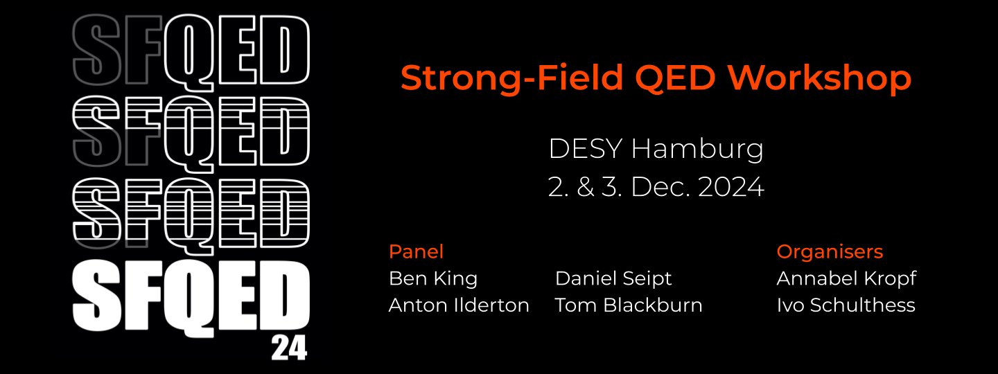 Strong-Field QED Workshop 2024